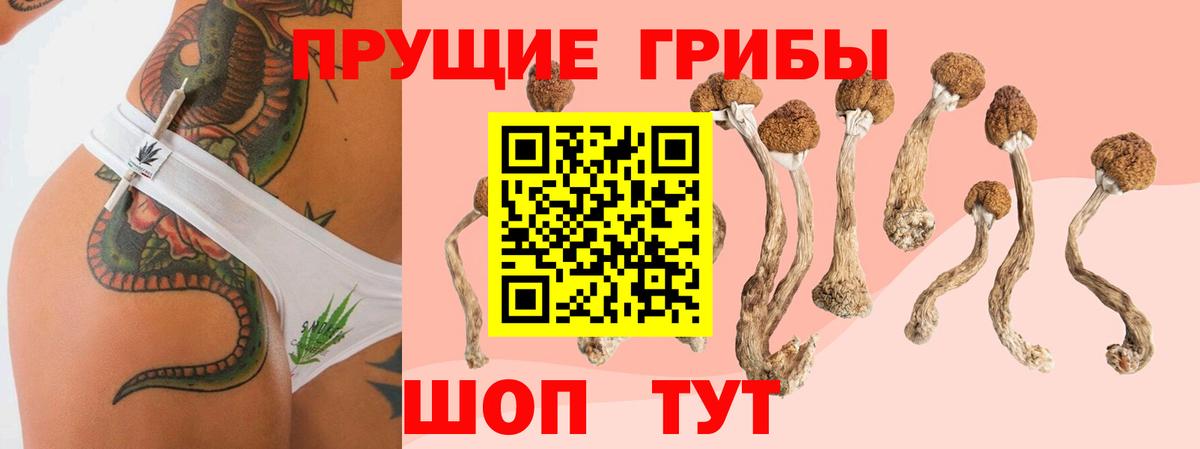 Псилоцибиновые грибы Magic Shrooms Керчь