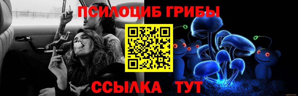 Галлюциногенные грибы Cubensis  купить  цена  Керчь  Вход с VPN 